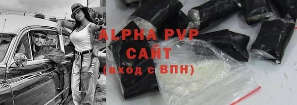 прущие грибы Магадан
