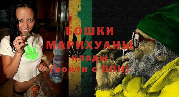 прущие грибы Магадан