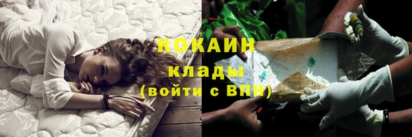 ПСИЛОЦИБИНОВЫЕ ГРИБЫ Калач