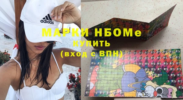 прущие грибы Магадан