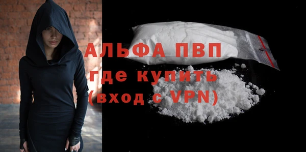 прущие грибы Магадан